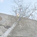 Overturning an Insurance Claim Rejection with Eyewitness Evidence